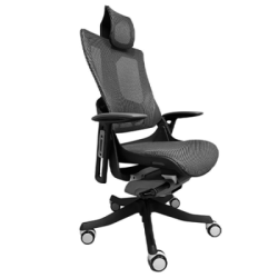 Madagascar Negra