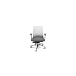 Alfa Ejecutiva Gris
