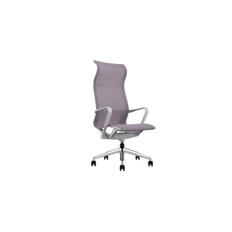 Evolution Alto