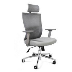 Athenas Gris Cabecera